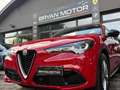 Alfa Romeo Stelvio Stelvio 2.2 Turbodiesel 160 CV AT8 RWD Super Rosso - thumbnail 7
