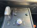 Lexus CT 200h Business Negro - thumbnail 13