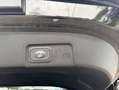 Ford Puma 1.0 EcoBoost Hybrid Aut. ST-LINE Nero - thumbnail 16