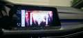 Volkswagen Golf Variant W Golf 8 R-Line 2.0 TDI 150 PS DSG 4Motion – Panorama – Black Style – ACC – Kamera Grau - thumbnail 17