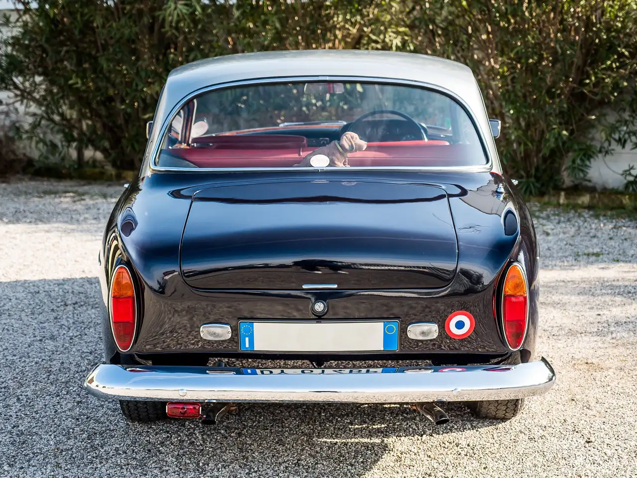 Bristol 409, foto 5