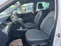 SEAT Arona Style Fast Lane 1,0 TGI CNG Weiß - thumbnail 12