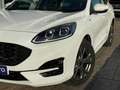 Ford Kuga 1.5 EcoBoost ST-Line FWD 150 Blanco - thumbnail 5
