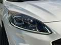 Ford Kuga 1.5 EcoBoost ST-Line FWD 150 Blanco - thumbnail 6