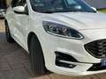 Ford Kuga 1.5 EcoBoost ST-Line FWD 150 Blanco - thumbnail 4