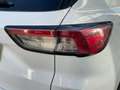 Ford Kuga 1.5 EcoBoost ST-Line FWD 150 Blanco - thumbnail 12