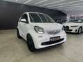 smart forTwo Cabrio Passion*SHZ*Tempomat*Cool&Audio* Weiß - thumbnail 21