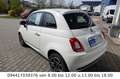 Fiat 500 Club 1.0 Hybrid White - thumbnail 2