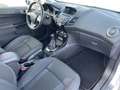 Ford Fiesta Titanium Klima+PDC+Sitzheizung+ServiceNeu Weiß - thumbnail 7