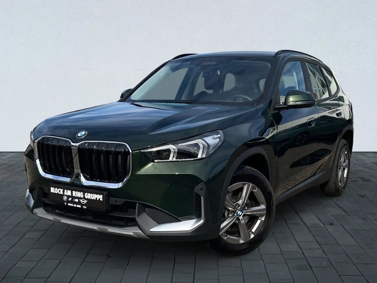 BMW X1 sDrive18d LiveProf DAProf HUD 360° SpoSi Navi Verde - 1
