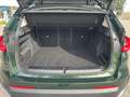 BMW X1 sDrive18d LiveProf DAProf HUD 360° SpoSi Navi Verde - thumbnail 14