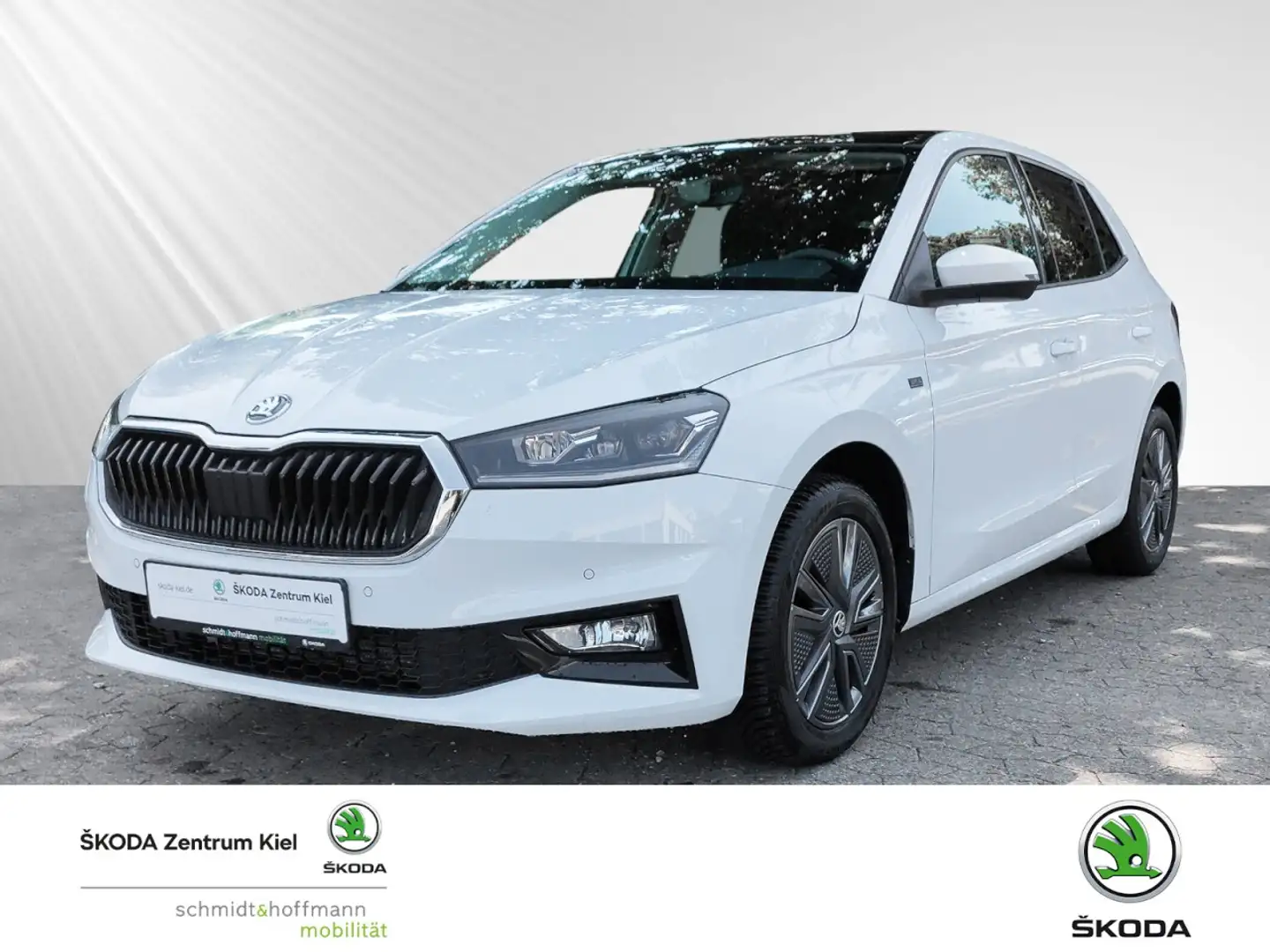 Skoda Fabia Drive 1.0 TSI Klima Einparkhilfe Fenster el. Weiß - 1