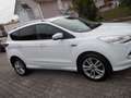 Ford Kuga Individual Weiß - thumbnail 12