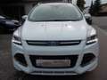 Ford Kuga Individual Weiß - thumbnail 2
