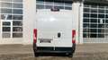 Fiat Ducato Kasten 35 140 L3H2 *NAVI*KAMERA*TEMPO* Weiß - thumbnail 10