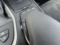 Lexus UX 250h AWD Executive Line Elektrische Klep, Adaptive Crui Grau - thumbnail 30