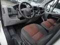 Fiat Ducato Ducato 35 2.3 MJT PL Cabinato Blanc - thumbnail 7