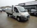 Fiat Ducato Ducato 35 2.3 MJT PL Cabinato Blanc - thumbnail 1