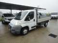 Fiat Ducato Ducato 35 2.3 MJT PL Cabinato Blanc - thumbnail 2