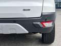 Ford EcoSport 1.0 EcoBoost Titanium S | Navi/Clima/Cruise/Stuur+ Wit - thumbnail 45