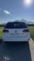 Volkswagen Golf Variant Golf Variant Comfortline 1,6 TDI Comfortline Weiß - thumbnail 6