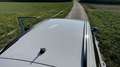 Volkswagen Golf Variant Golf Variant Comfortline 1,6 TDI Comfortline Weiß - thumbnail 19