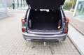 Ford Kuga Hybrid ST-Line Grau - thumbnail 6