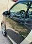 smart forTwo fortwo 800 40 kW coupé pure cdi Nero - thumbnail 14