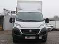 Fiat Ducato Maxi 2.3 180 Pritsche Plane Aufbau Hebebühne Weiß - thumbnail 8