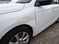 Opel Corsa F Edition 1.2 55kW,KLIMA-BLUETOOTH-SHZ-PDC Blanc - thumbnail 10