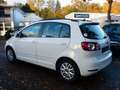 Volkswagen Golf Plus VI 1.4 TSI Comfortline Aut. Kamera SHf Weiß - thumbnail 6