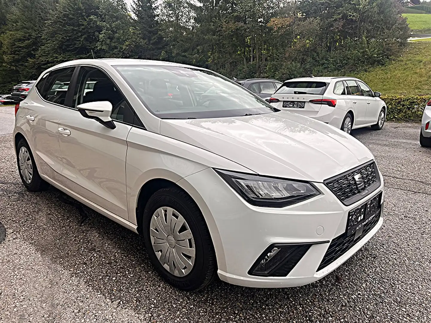 SEAT Ibiza Reference 1,0 MPI Weiß - 2