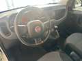 Fiat Panda van 2 posti 1.3 multijet nuovo arrivo Bianco - thumbnail 7