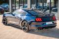 Ford Mustang GT 5.0 PREMIUM GT/SHELBY FC.LIFT Чорний - thumbnail 14