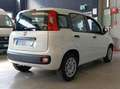 Fiat Panda van 4 posti 1.2 69cv easy Bianco - thumbnail 4