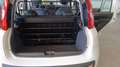 Fiat Panda van 4 posti 1.2 69cv easy Bianco - thumbnail 12