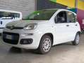 Fiat Panda van 4 posti 1.2 69cv easy Bianco - thumbnail 1