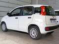 Fiat Panda van 4 posti 1.2 69cv easy Bianco - thumbnail 2