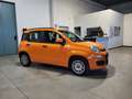 Fiat Panda 1.2 Easy 69cv Arancione - thumbnail 3
