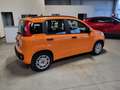 Fiat Panda 1.2 Easy 69cv Arancione - thumbnail 4