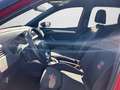 SEAT Arona 1.5 TSI FR DSG 18" ACC AHK CARPLAX LED NAV Rot - thumbnail 12