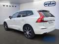 Volvo XC60 Inscription AWD B5 Diesel V-Max 220 KmH ACC 360 Ka Bianco - thumbnail 4