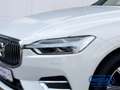 Volvo XC60 Inscription AWD B5 Diesel V-Max 220 KmH ACC 360 Ka Bianco - thumbnail 5
