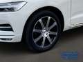 Volvo XC60 Inscription AWD B5 Diesel V-Max 220 KmH ACC 360 Ka Bianco - thumbnail 6