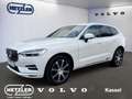 Volvo XC60 Inscription AWD B5 Diesel V-Max 220 KmH ACC 360 Ka Bianco - thumbnail 1
