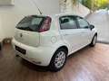 Fiat Punto CATENA NUOVA - NEOPATENTATI - BASSI CONSUMI Bianco - thumbnail 5
