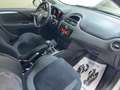 Fiat Punto CATENA NUOVA - NEOPATENTATI - BASSI CONSUMI Bianco - thumbnail 11
