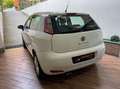 Fiat Punto CATENA NUOVA - NEOPATENTATI - BASSI CONSUMI Bianco - thumbnail 7