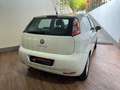 Fiat Punto CATENA NUOVA - NEOPATENTATI - BASSI CONSUMI Bianco - thumbnail 6
