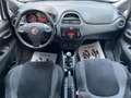 Fiat Punto CATENA NUOVA - NEOPATENTATI - BASSI CONSUMI Bianco - thumbnail 9